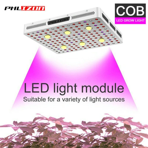 Led Hydroponic Light for Sale COB High PPFD China Manufacturer